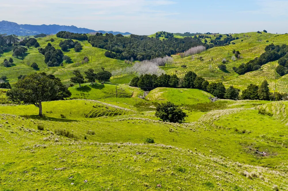 Photos of 1334 Pukehuia Road