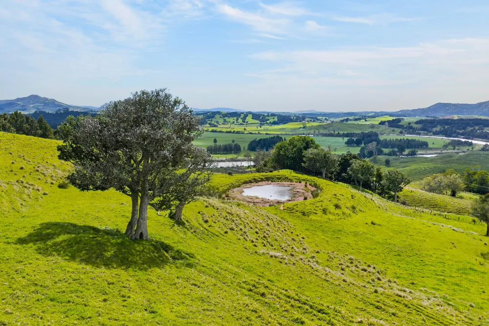 Photos of 1334 Pukehuia Road