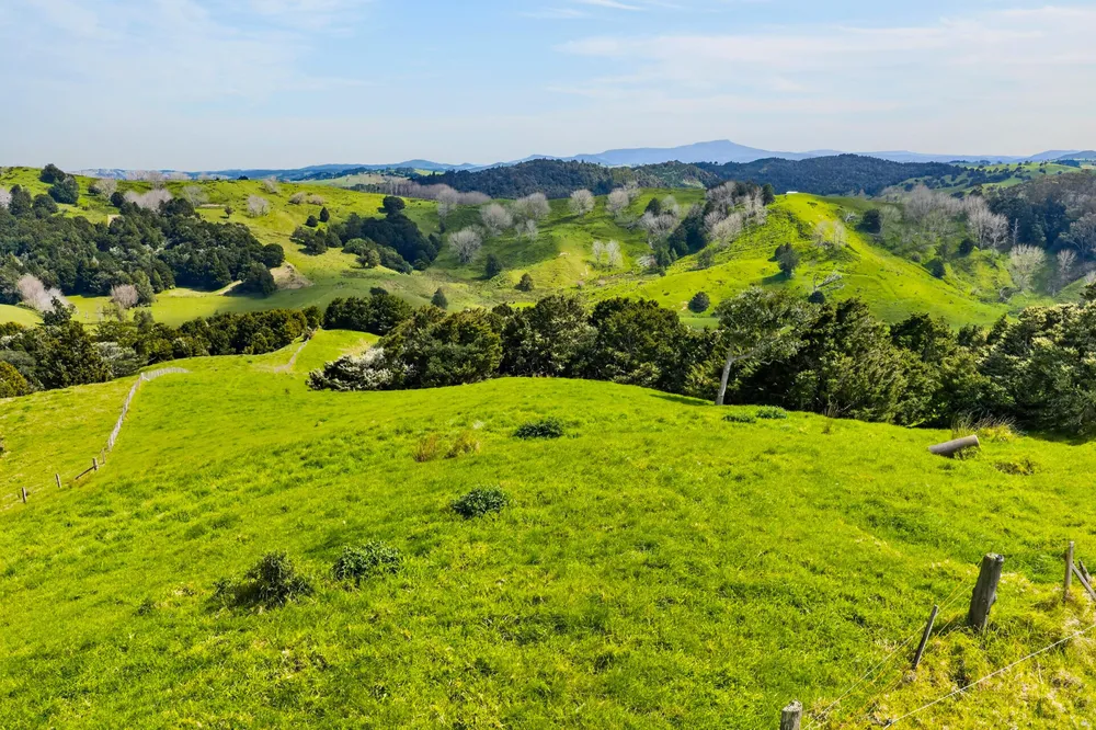 Photos of 1334 Pukehuia Road