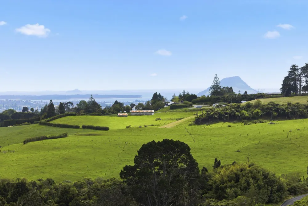 Photos of 857B Upper Ohauiti Road