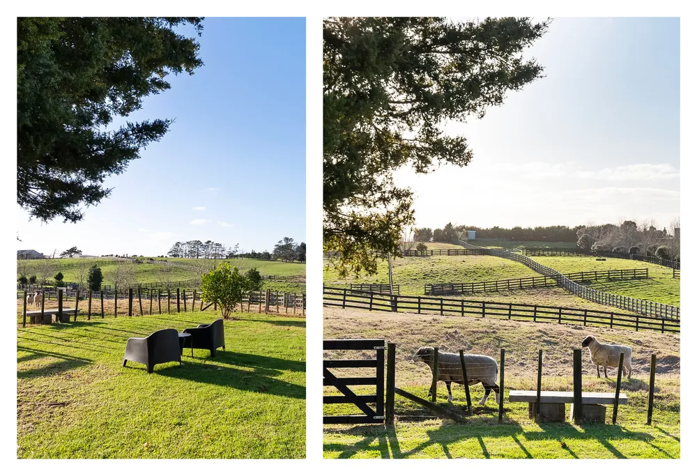 Photos of 371 Seagrove Road