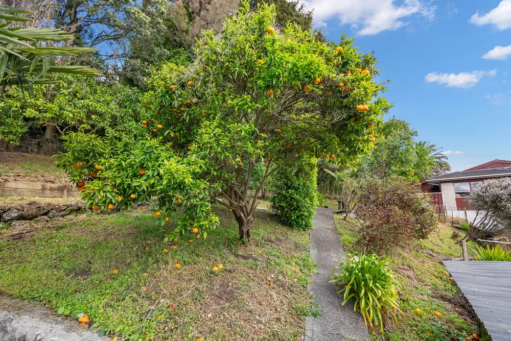 Photos of 3B Waimahanga Road