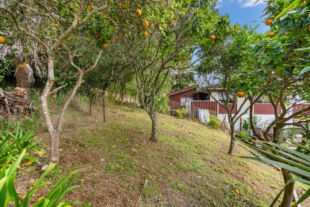 Photos of 3B Waimahanga Road