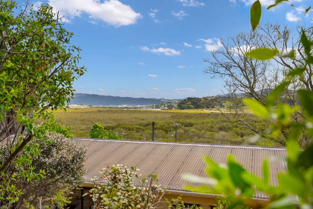 Photos of 3B Waimahanga Road
