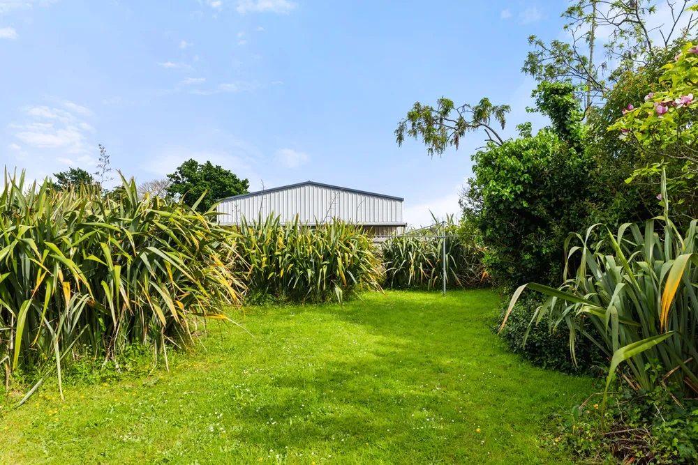 Photos of 10 Hinaki Street