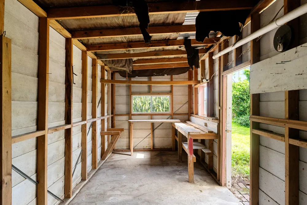 Photos of 10 Hinaki Street