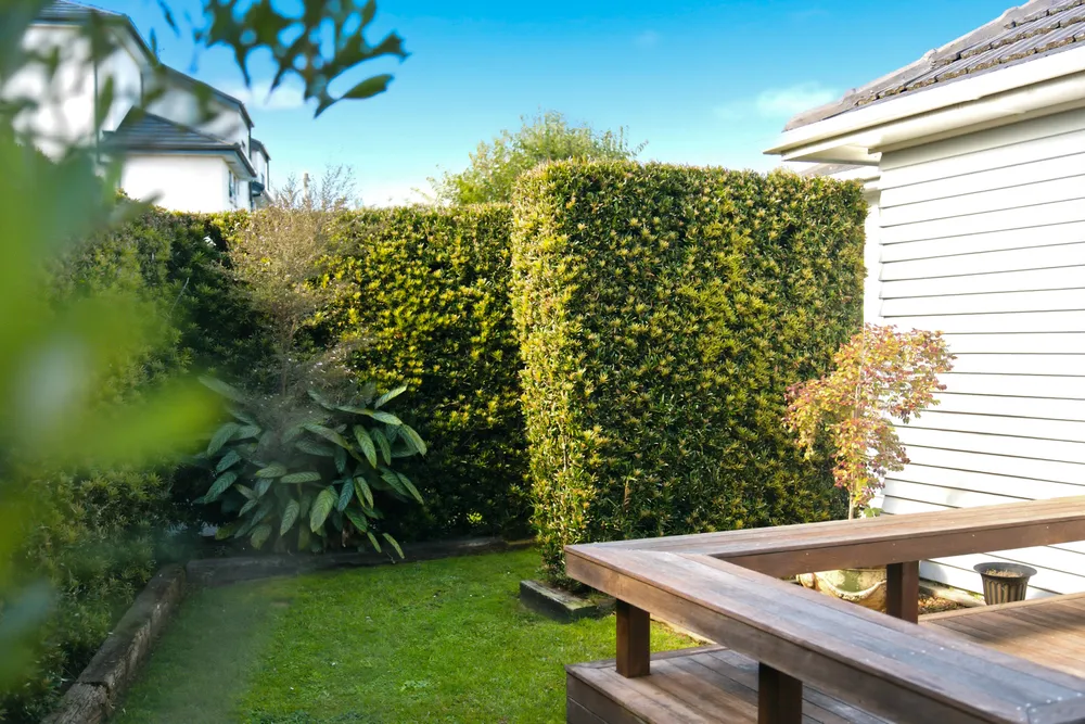 Photos of 62A Yeovil Road