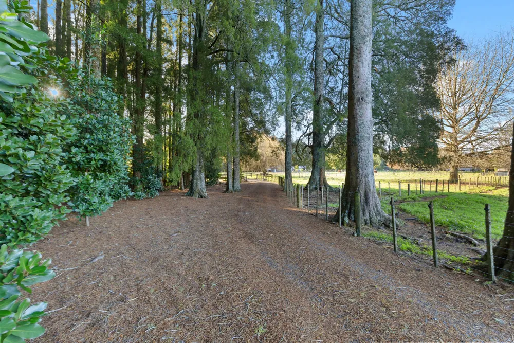 Photos of 2039 Te Pahu Road