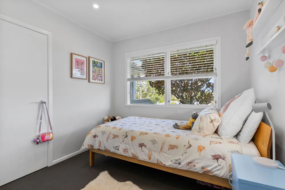 Photos of 41 Taupo Street
