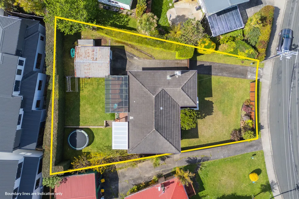 Photos of 41 Taupo Street