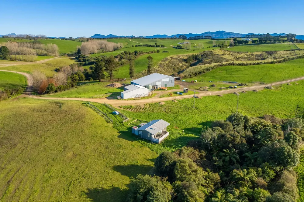 Photos of 165 McBeth Road