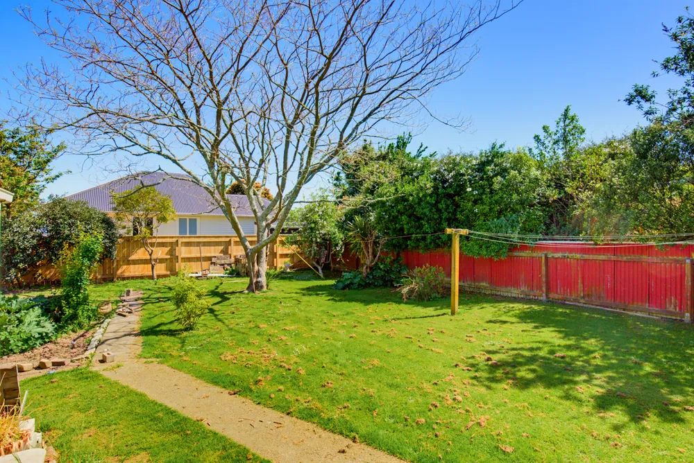 Photos of 35 Bowen Street