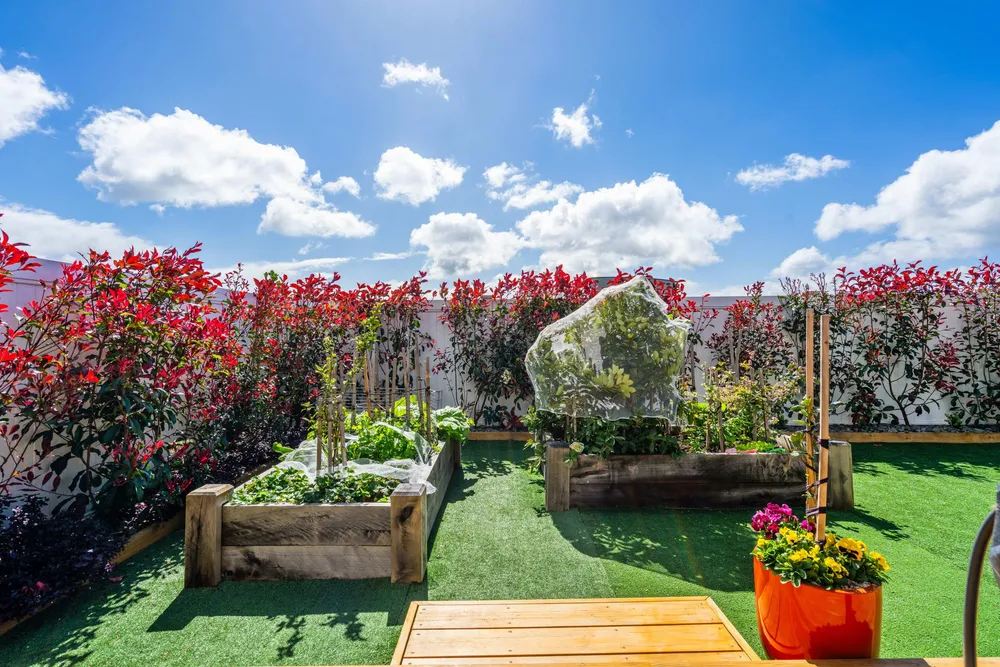 Photos of 18 Matariki Drive