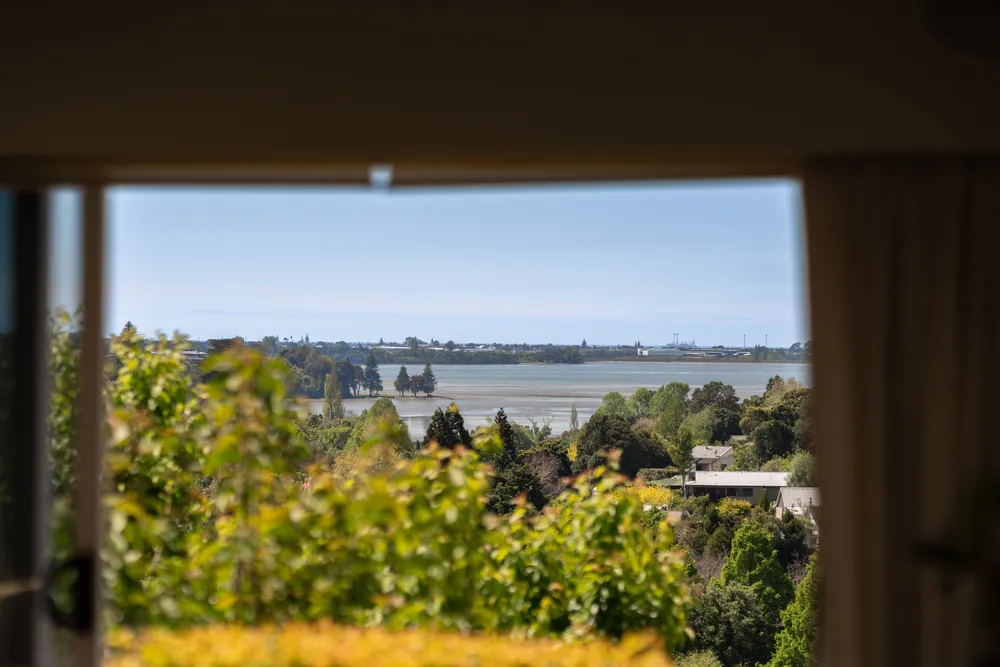 Photos of 3 Cashmere Way