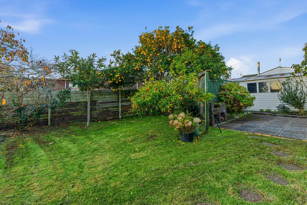 Photos of 3 Pinero Place