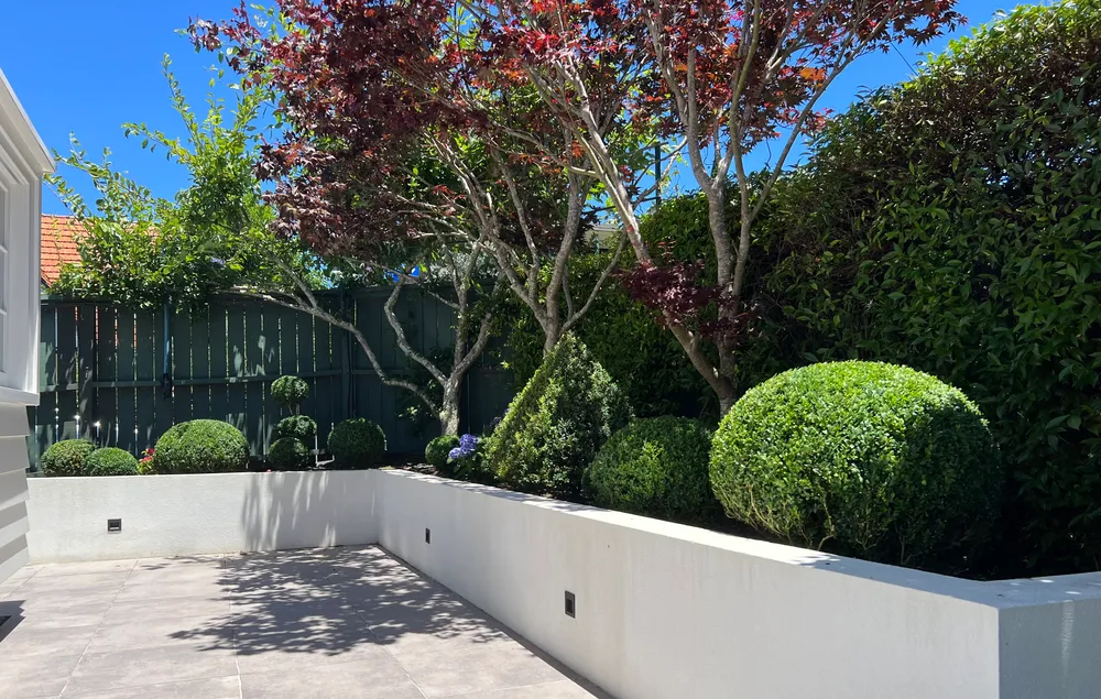 Photos of 8 Waitoa Street