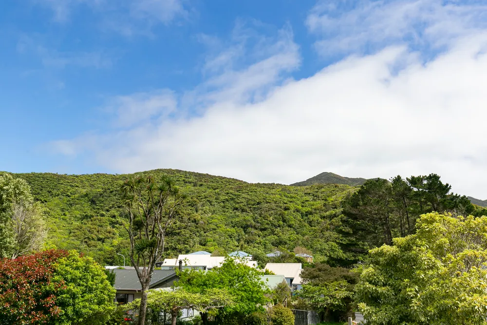 Photos of 5 Fitzgerald Place