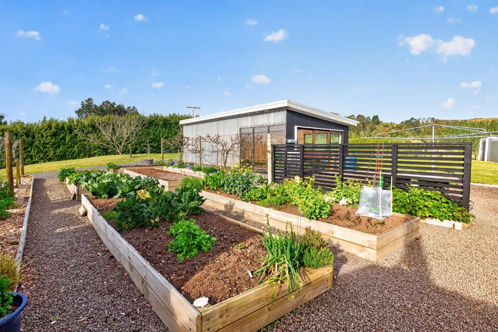 Photos of 157E Kaiate Falls Road