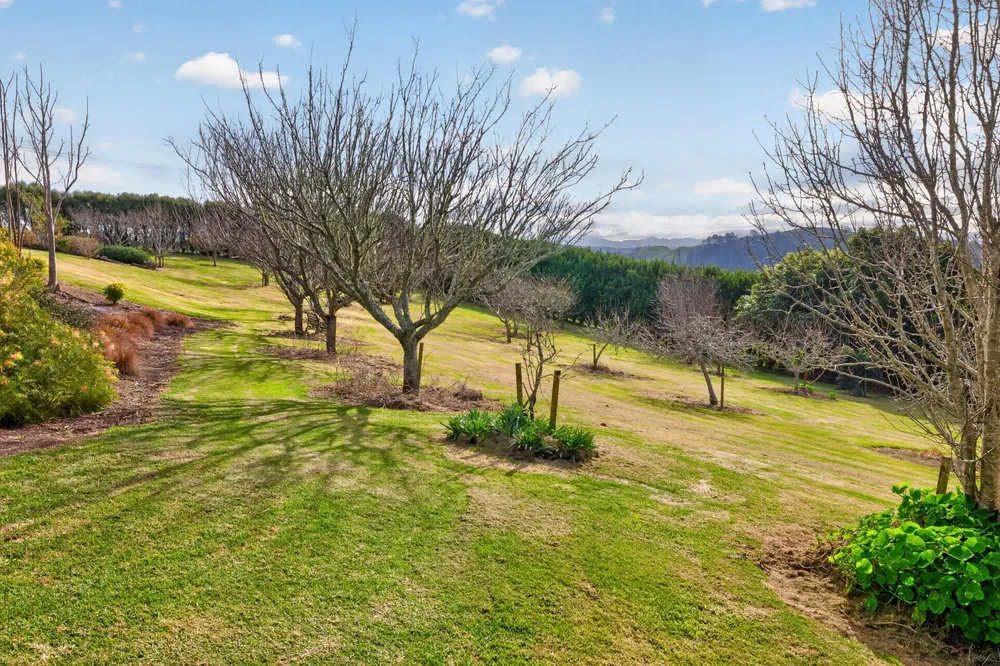 Photos of 157E Kaiate Falls Road