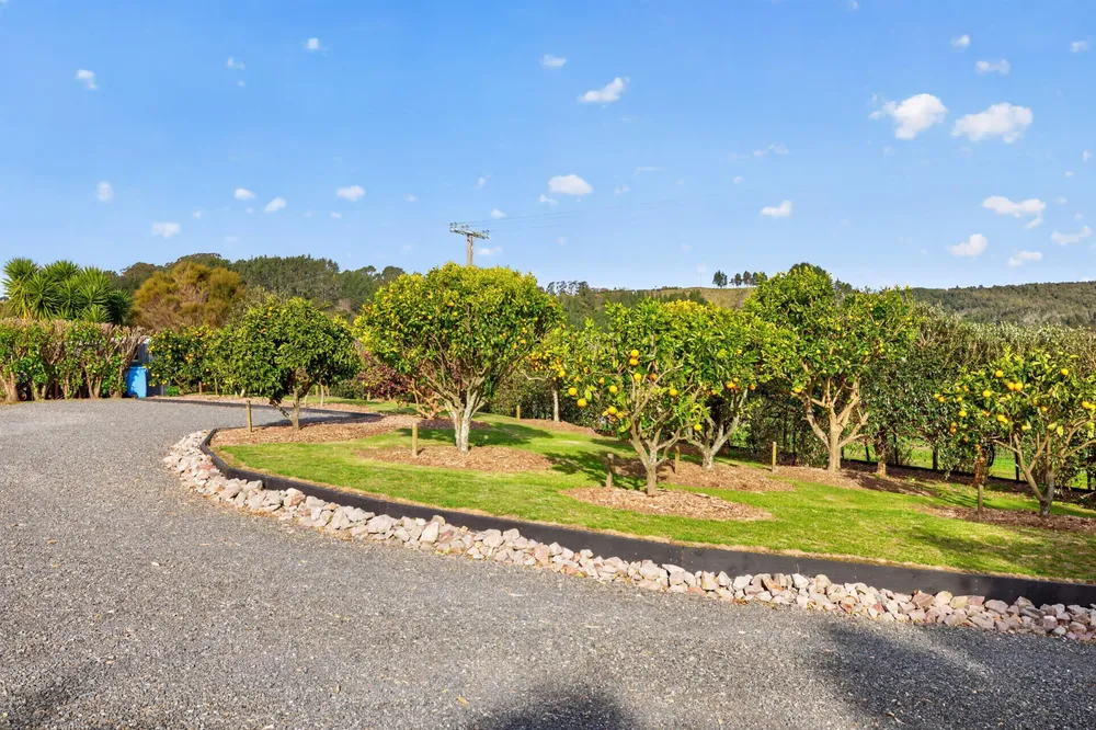 Photos of 157E Kaiate Falls Road