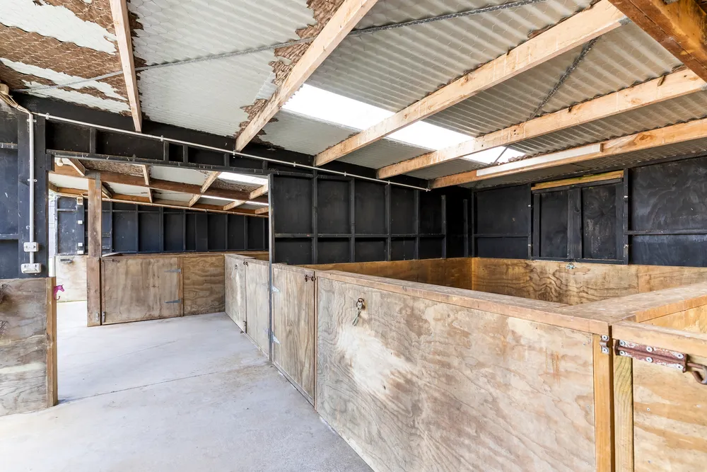 Photos of 113 Waitangi Falls Road