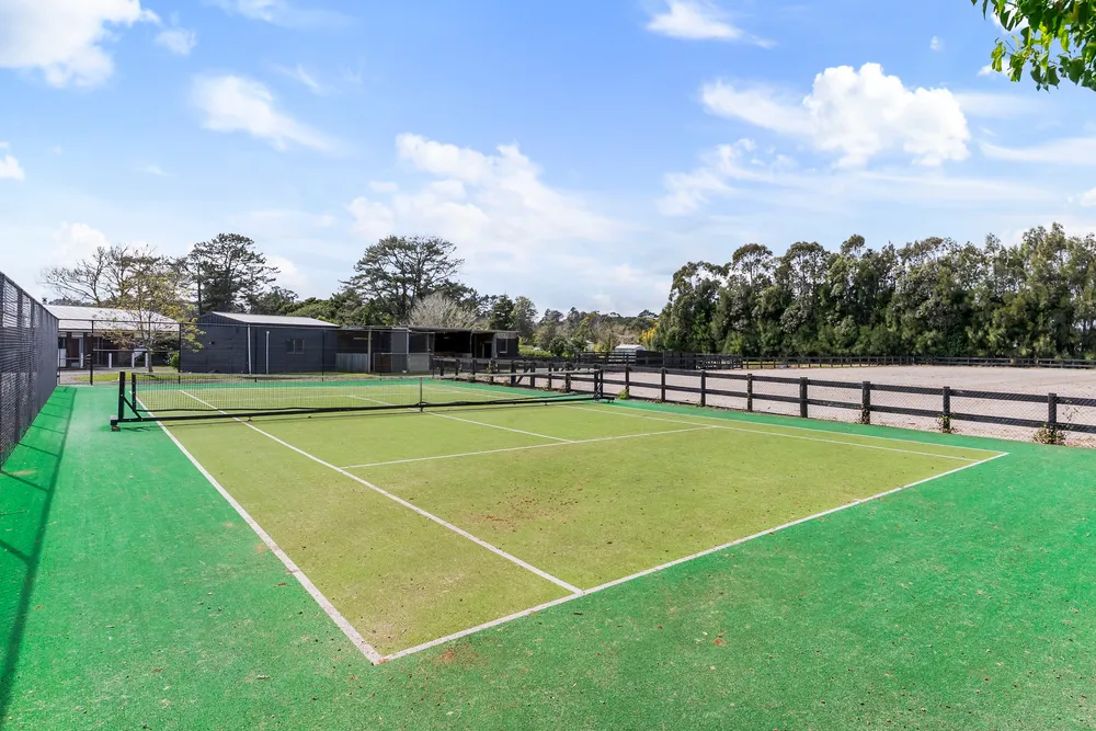 Photos of 113 Waitangi Falls Road