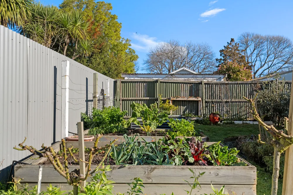 Photos of 17 Kinver Place