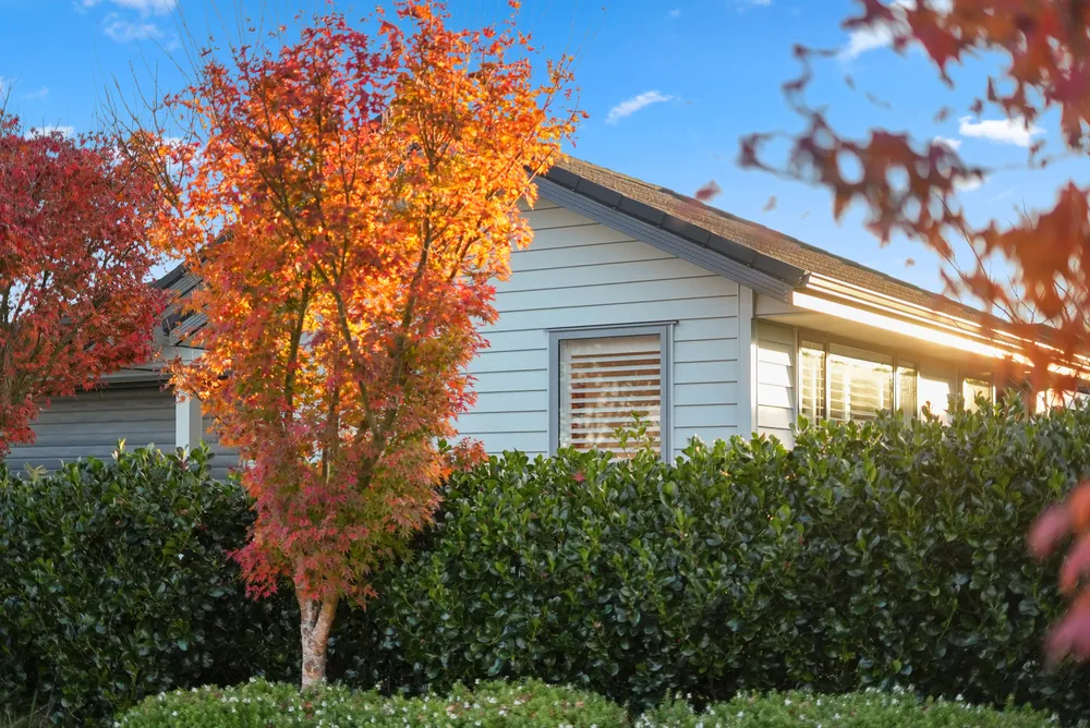 Photos of 5 Munford Lane