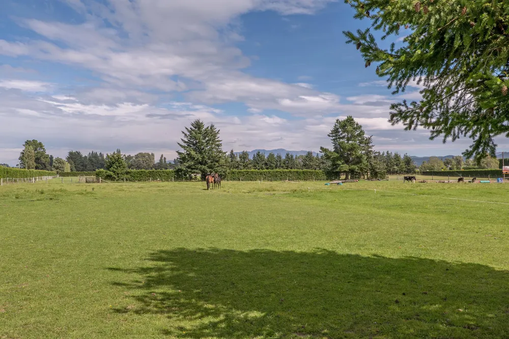 Photos of 2501 Bealey Road