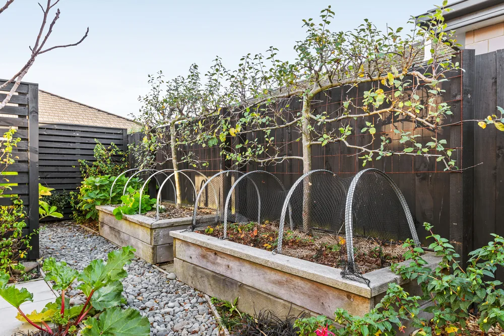 Photos of 2 Colin Laloli Place