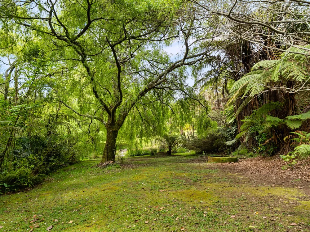 Photos of 134A Munro Road