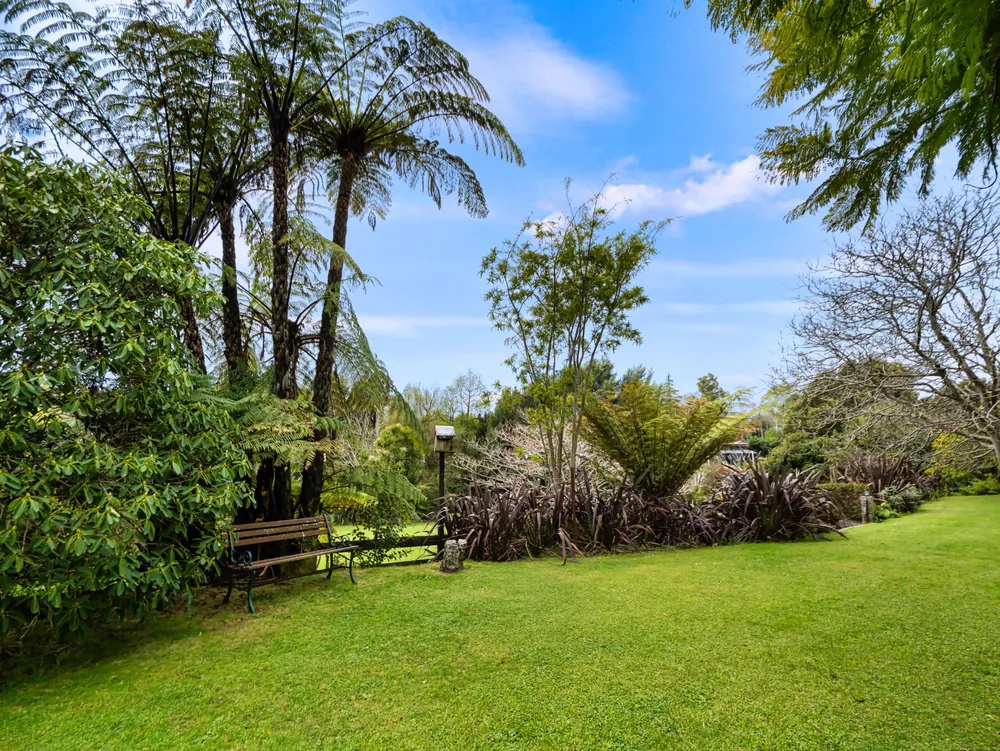 Photos of 134A Munro Road