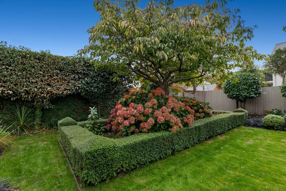 Photos of 16 Ridgewood Place