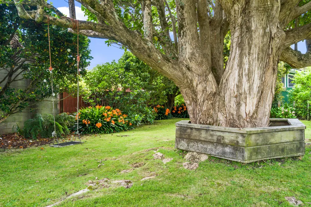 Photos of 3 Kotuku Street