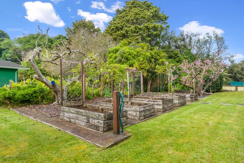 Photos of 3 Kotuku Street