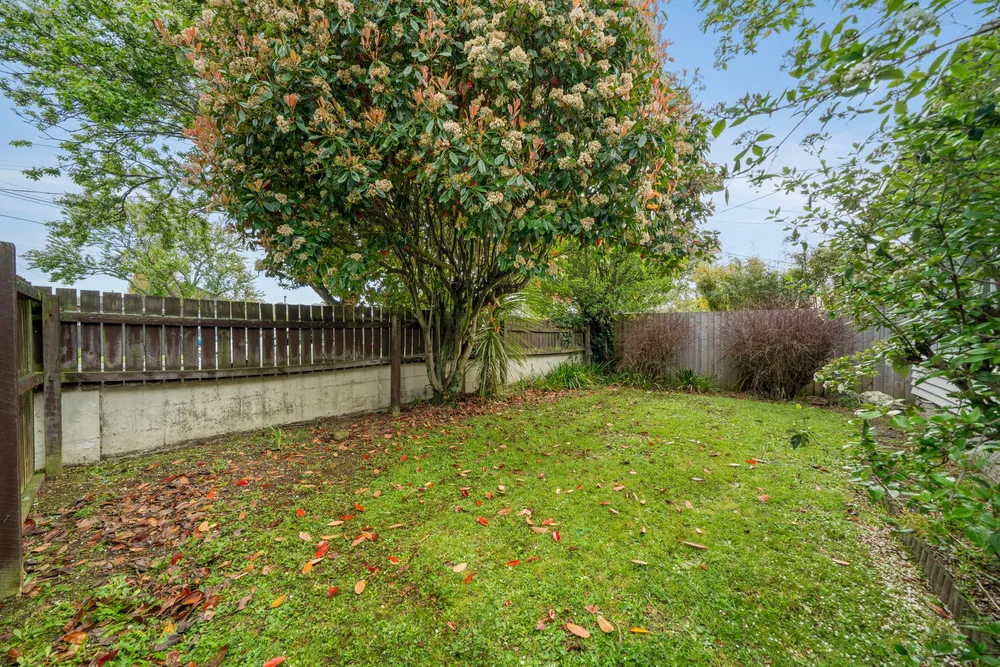 Photos of 26 Esperance Street