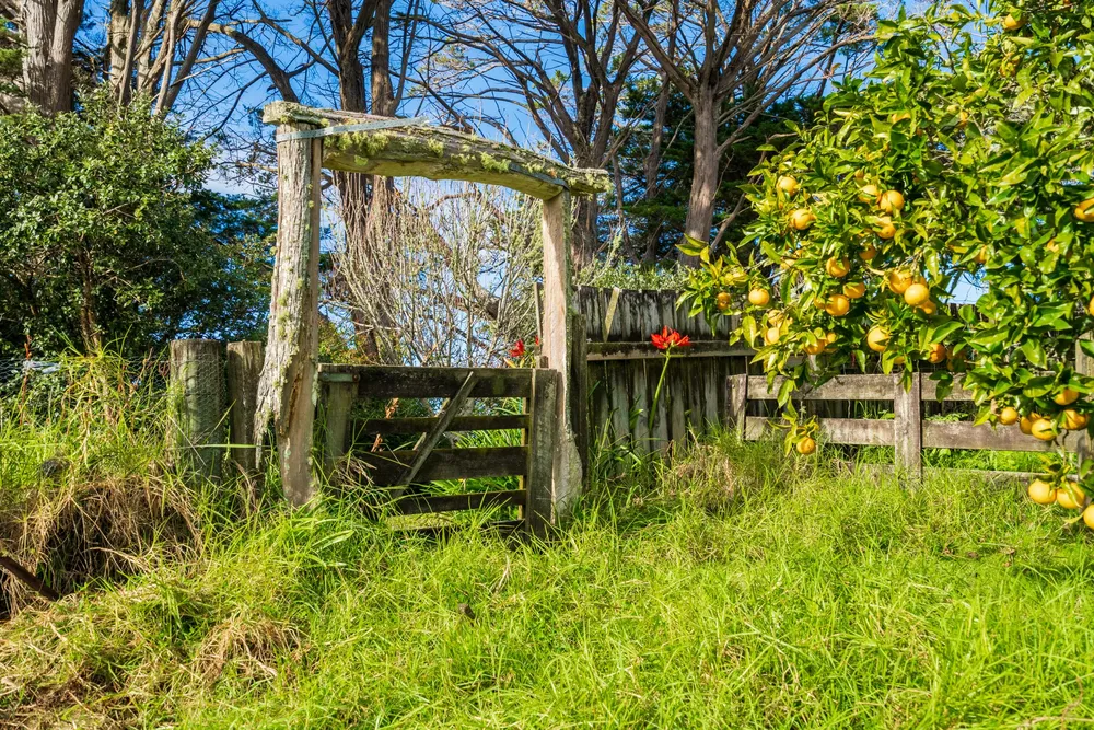 Photos of 488 Maungakaramea Road