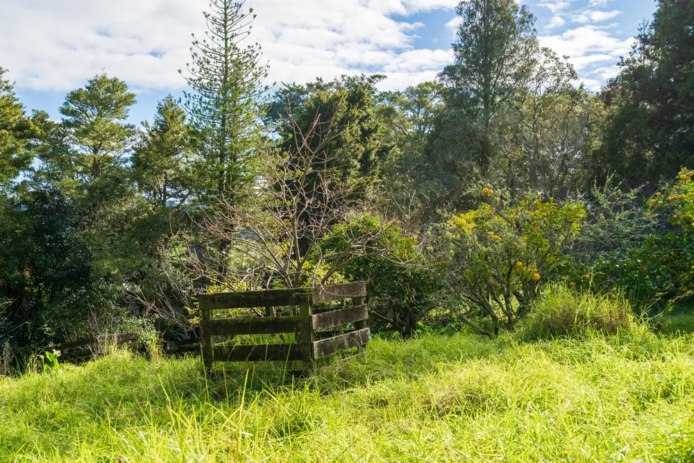 Photos of 488 Maungakaramea Road