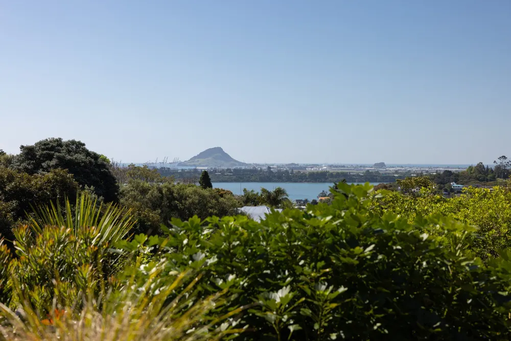 Photos of 91 Waikite Road