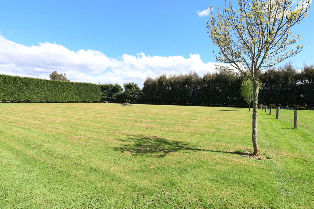 Photos of 225A Pomona Road East