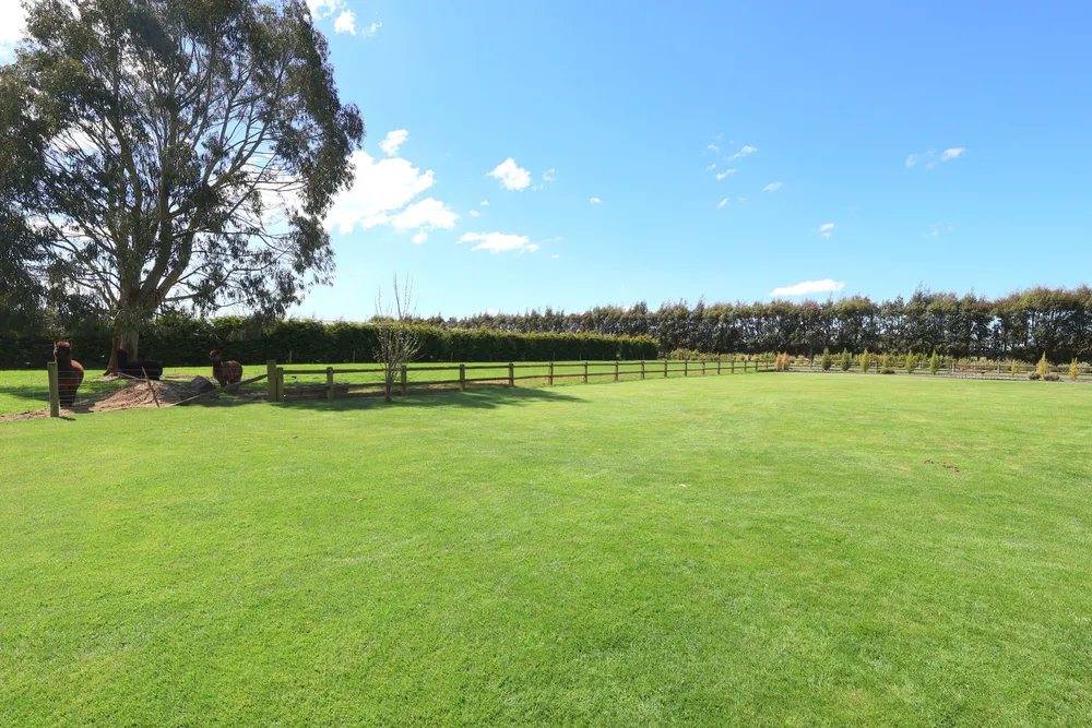 Photos of 225A Pomona Road East