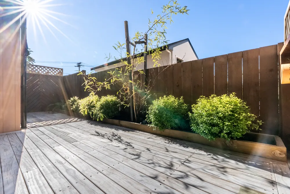 Photos of 33 Williamson Avenue