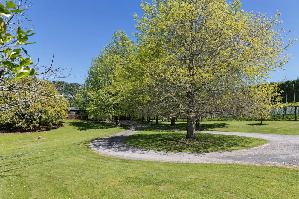 Photos of 96D Jensen Road