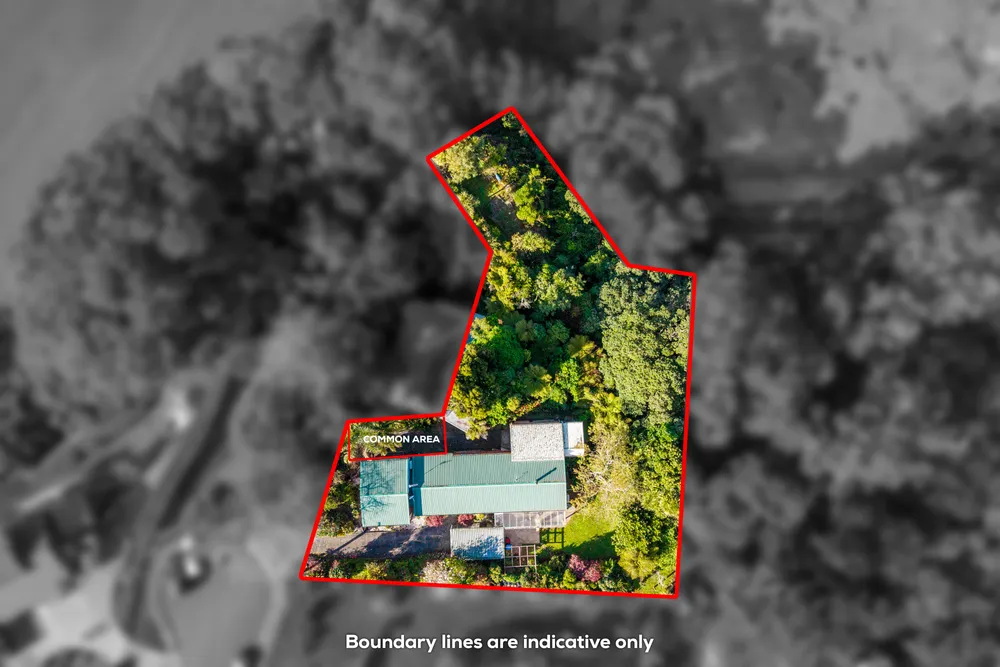 Photos of 29 Bagley Street