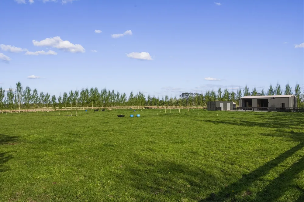 Photos of 95A Limmer Road