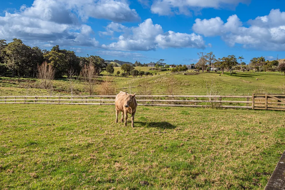 Photos of 783 Whareora Road