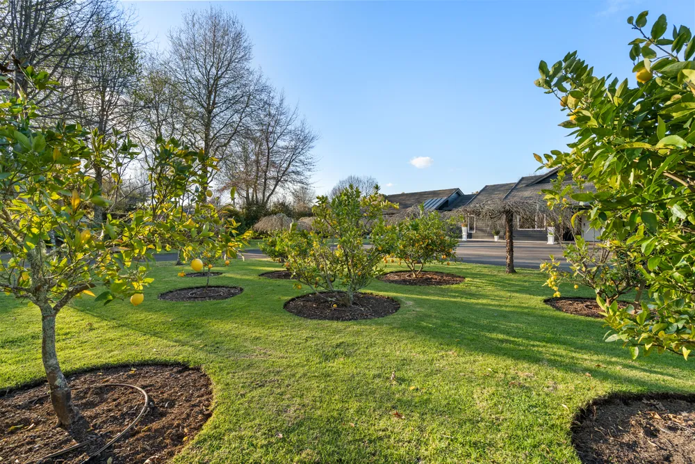Photos of 6 River Oaks Drive