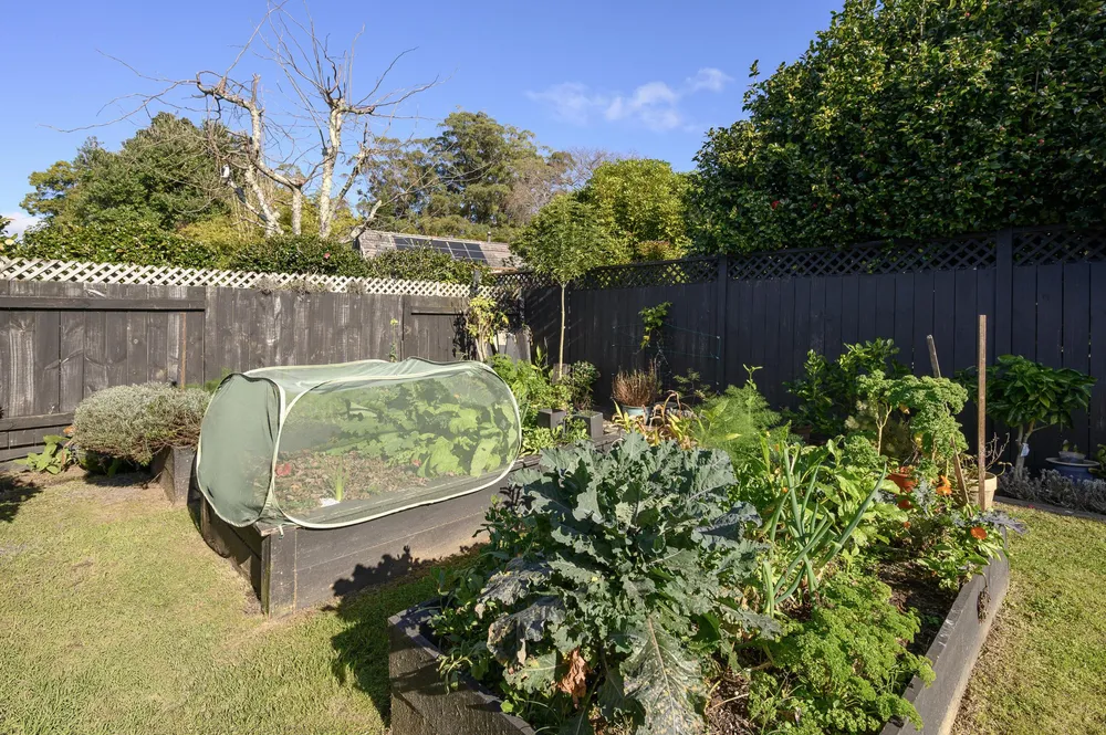 Photos of 15 Hansard Place