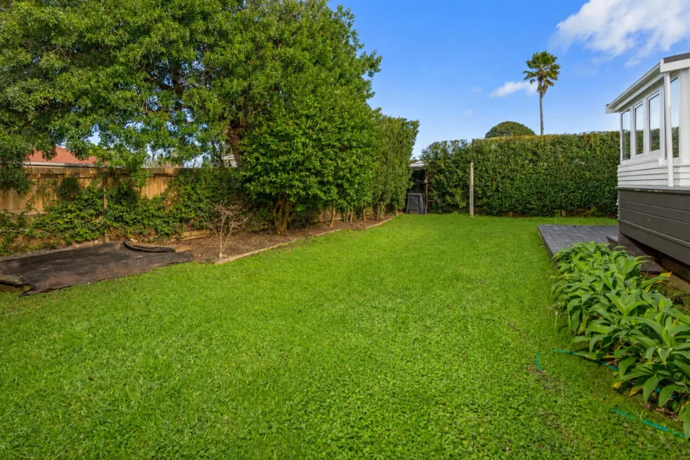 Photos of 313 Royal Road