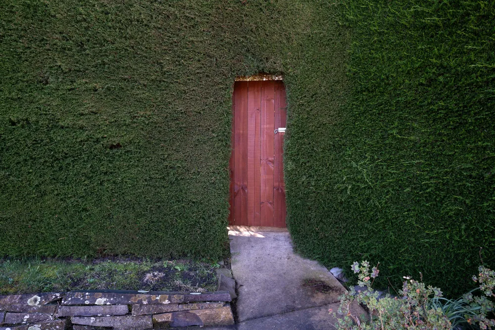 Photos of 261 Kennedys Bush Road